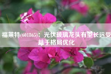 福莱特(601865)：光伏玻璃龙头有望长远受益于格局优化