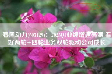 春风动力(603129)：2025Q1业绩增速亮眼 看好两轮+四轮业务双轮驱动公司成长