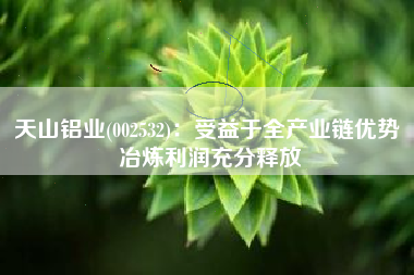 天山铝业(002532)：受益于全产业链优势 冶炼利润充分释放