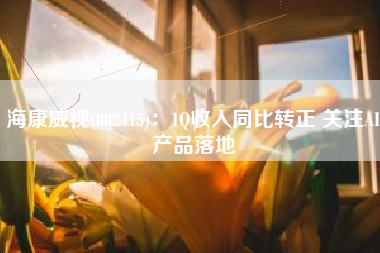 海康威视(002415)：1Q收入同比转正 关注AI产品落地