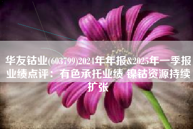 华友钴业(603799)2024年年报&2025年一季报业绩点评：有色承托业绩 镍钴资源持续扩张