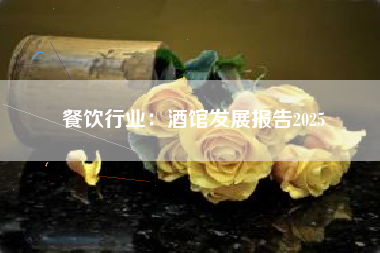 餐饮行业：酒馆发展报告2025