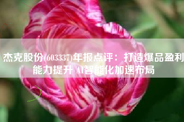 杰克股份(603337)年报点评：打造爆品盈利能力提升 AI智能化加速布局