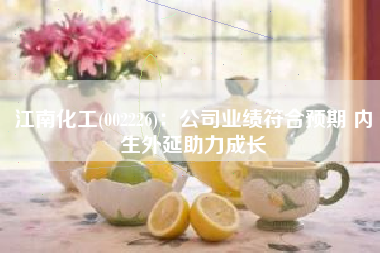江南化工(002226)：公司业绩符合预期 内生外延助力成长