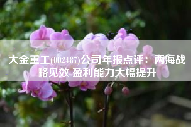 大金重工(002487)公司年报点评：两海战略见效 盈利能力大幅提升