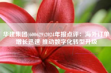 华建集团(600629)2024年报点评：海外订单增长迅速 推动数字化转型升级