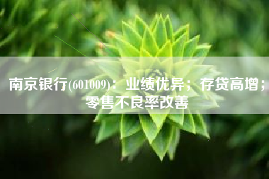 南京银行(601009)：业绩优异；存贷高增；零售不良率改善