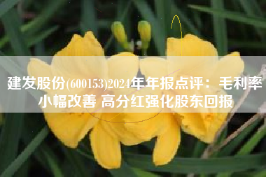 建发股份(600153)2024年年报点评：毛利率小幅改善 高分红强化股东回报