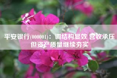 平安银行(000001)：调结构显效 营收承压但资产质量继续夯实