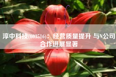 淳中科技(603516)：经营质量提升 与N公司合作进展显著