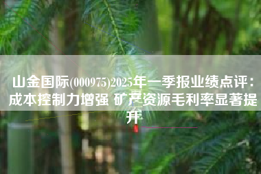 山金国际(000975)2025年一季报业绩点评：成本控制力增强 矿产资源毛利率显著提升