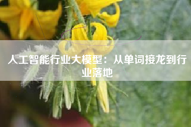 人工智能行业大模型：从单词接龙到行业落地