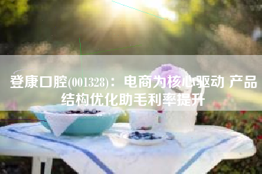 登康口腔(001328)：电商为核心驱动 产品结构优化助毛利率提升