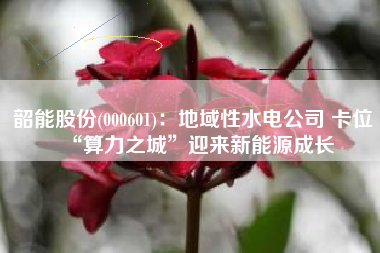 韶能股份(000601)：地域性水电公司 卡位“算力之城”迎来新能源成长
