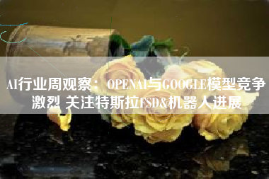 AI行业周观察：OPENAI与GOOGLE模型竞争激烈 关注特斯拉FSD&机器人进展