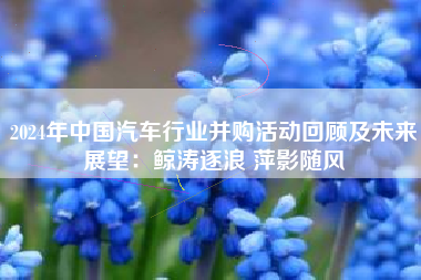 2024年中国汽车行业并购活动回顾及未来展望:鲸涛逐浪 萍影随风 2024年中国汽车行业并购活动回顾及未来展望:鲸涛逐浪 萍影随风