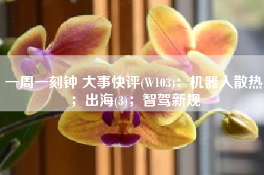 一周一刻钟 大事快评(W103)：机器人散热；出海(3)；智驾新规
