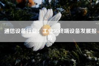 通信设备行业：工业5G终端设备发展报告