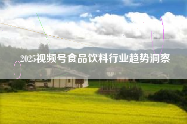 2025视频号食品饮料行业趋势洞察