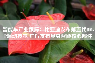 智能车产业跟踪：比亚迪发布第五代DM-P混动技术 广汽发布具身智能核心部件