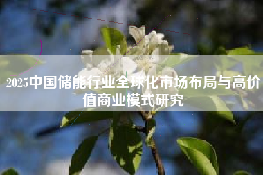 2025中国储能行业全球化市场布局与高价值商业模式研究