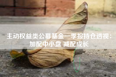 主动权益类公募基金一季报持仓透视：加配中小盘 减配成长