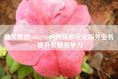 杭叉集团(603298)：开拓多元化海外业务 提升长期竞争力