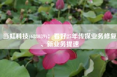 当虹科技(688039)：看好25年传媒业务修复、新业务提速