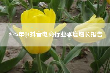 2025年Q1抖音电商行业季度增长报告