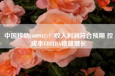 中国移动(600941)：收入利润符合预期 控成本EBITDA稳健增长