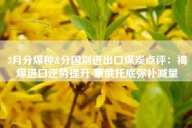 3月分煤种&分国别进出口煤炭点评：褐煤进口逆势提升 蒙俄托底弥补减量