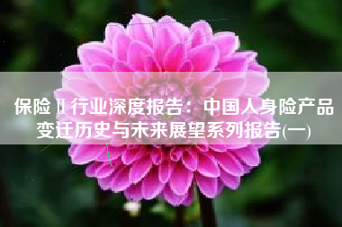 保险Ⅱ行业深度报告：中国人身险产品变迁历史与未来展望系列报告(一)