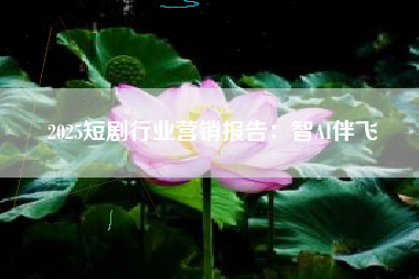 2025短剧行业营销报告：智AI伴飞