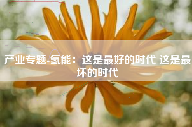产业专题-氢能：这是最好的时代 这是最坏的时代
