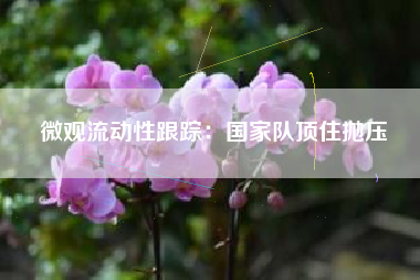 微观流动性跟踪：国家队顶住抛压
