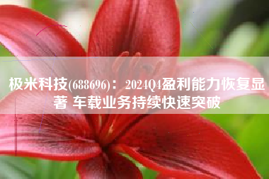 极米科技(688696)：2024Q4盈利能力恢复显著 车载业务持续快速突破