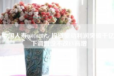 中国人寿(601628)：投资驱动利润突破千亿 下调假设不改EV高增