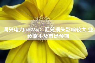 海兴电力(603556)：汇兑损失影响较大 业绩略不及市场预期