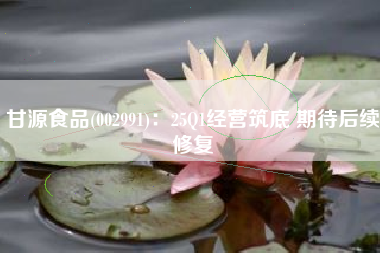 甘源食品(002991)：25Q1经营筑底 期待后续修复