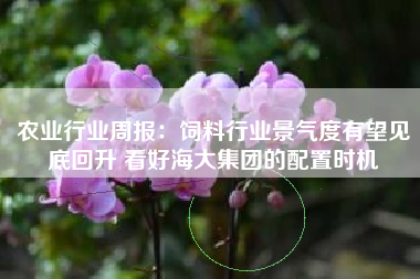 农业行业周报：饲料行业景气度有望见底回升 看好海大集团的配置时机