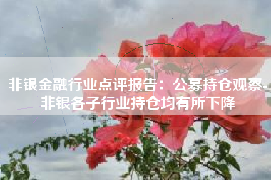非银金融行业点评报告：公募持仓观察-非银各子行业持仓均有所下降