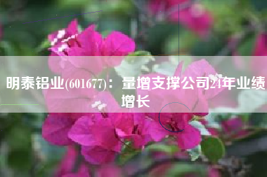 明泰铝业(601677)：量增支撑公司24年业绩增长