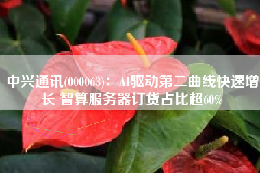 中兴通讯(000063)：AI驱动第二曲线快速增长 智算服务器订货占比超60%