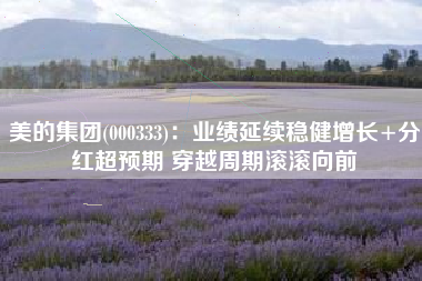 美的集团(000333)：业绩延续稳健增长+分红超预期 穿越周期滚滚向前