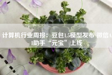 计算机行业周报：豆包1.5模型发布 微信AI助手“元宝”上线