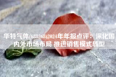 华特气体(688268)2024年年报点评：深化国内外市场布局 推进销售模式转型