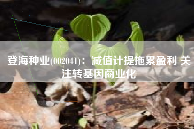 登海种业(002041)：减值计提拖累盈利 关注转基因商业化
