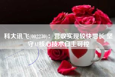 科大讯飞(002230)：营收实现较快增长 坚守AI核心技术自主可控