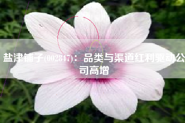 盐津铺子(002847)：品类与渠道红利驱动公司高增
