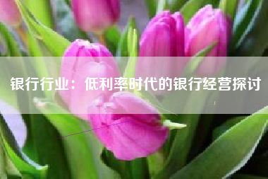 银行行业：低利率时代的银行经营探讨